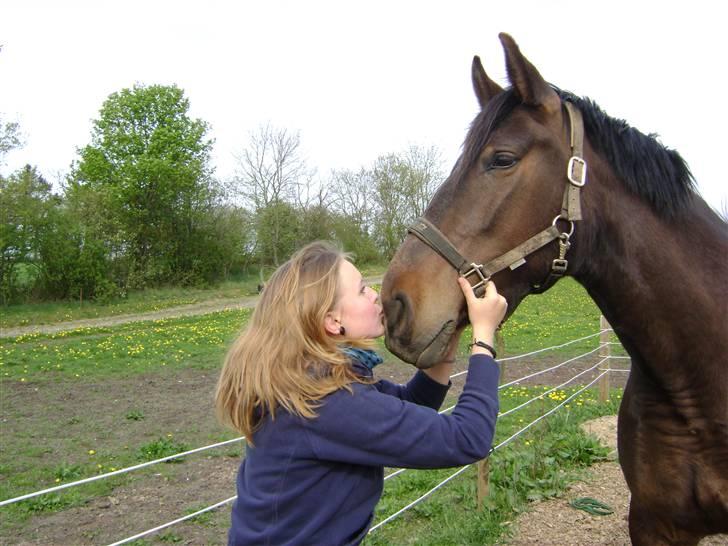 Oldenborg Chanell SOLGT  billede 15