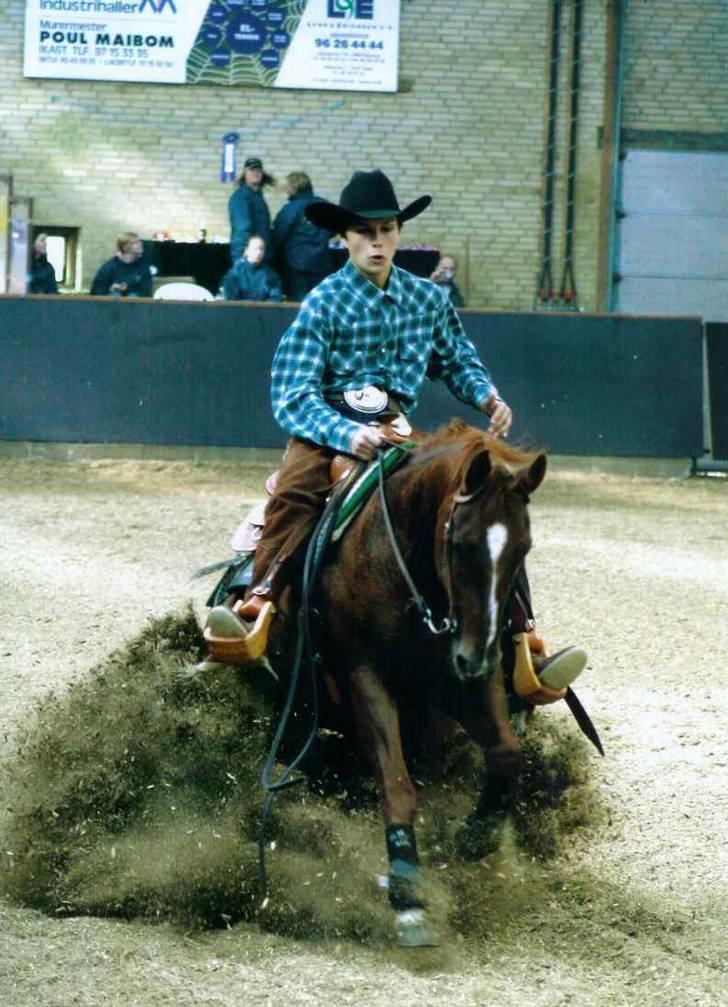 Quarter Impressive Majority billede 9