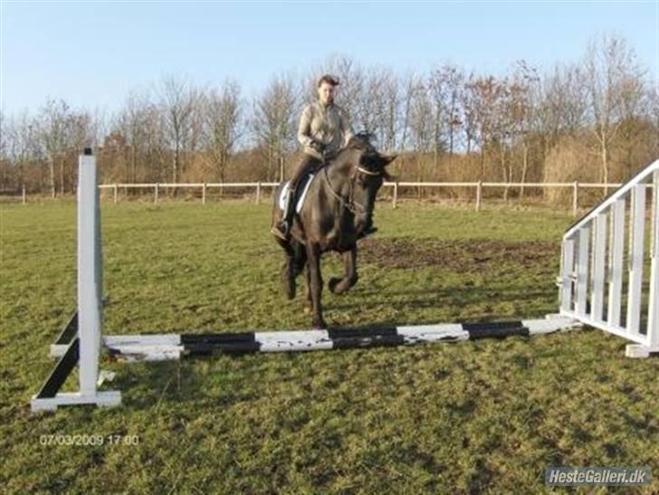 Frieser Rommert Jasper - skatteren med majbrit:´D billede 4