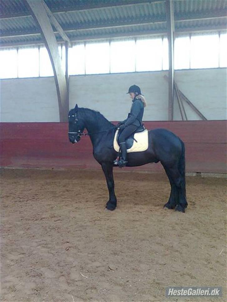 Frieser Rommert Jasper - misslingen:´D billede 5