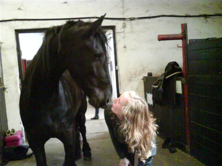 Frieser Rommert Jasper - mys mys.:} billede 7