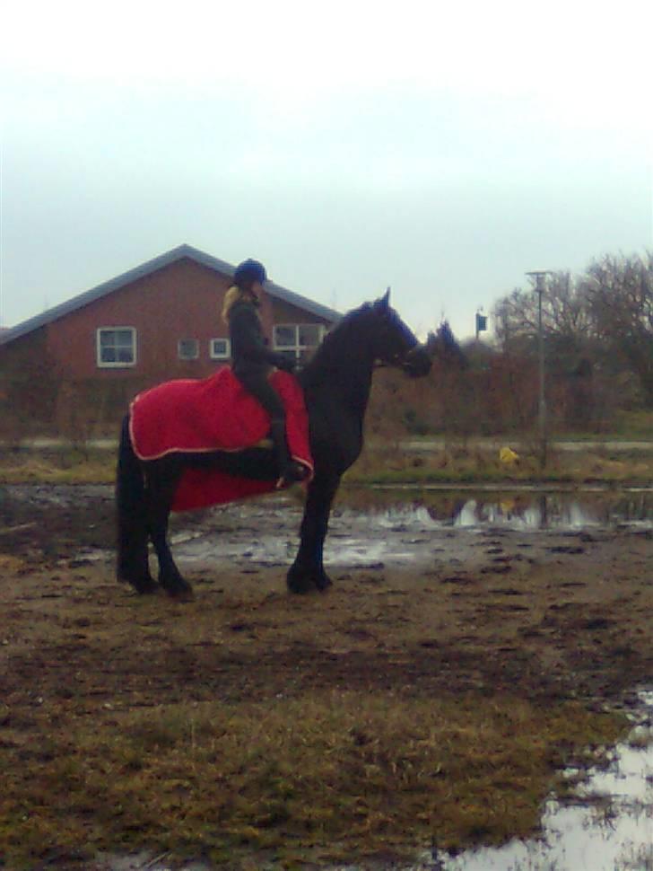 Frieser Rommert Jasper - <3 [foto: Line] billede 9