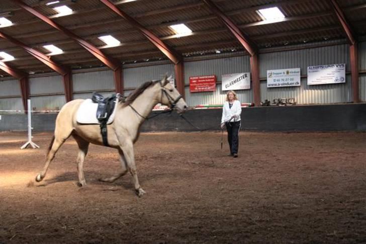 Anden særlig race Shikira R.I.P - foto: hans billede 13