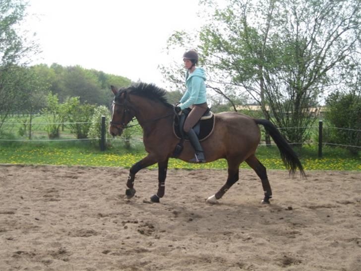 Oldenborg mitzu - Tidligere Part.. billede 13