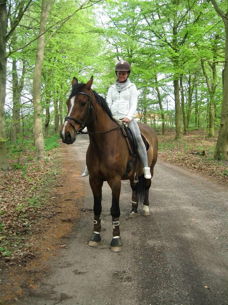 Oldenborg mitzu - Tidligere Part.. billede 16