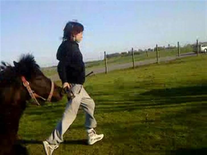 Anden særlig race Olga *solgt* billede 11