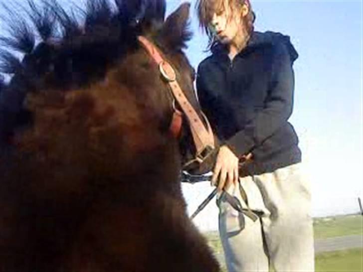 Anden særlig race Olga *solgt* billede 14