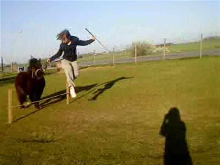 Anden særlig race Olga *solgt* billede 16