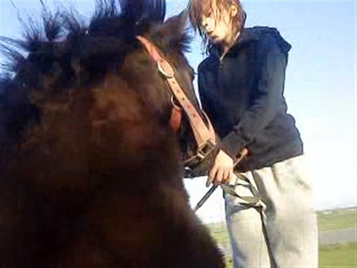 Anden særlig race Olga *solgt* billede 18