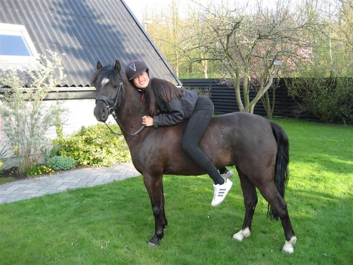 Welsh Pony (sec B) Bjerregaards Valentin (Valle) - Mig og Valle i haven <3 ELSKER DET BILLEDE!! <3 billede 15