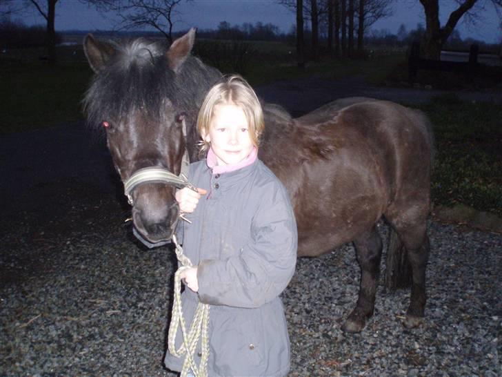 Anden særlig race R.I.P Robin<3<3 - <3 billede 3