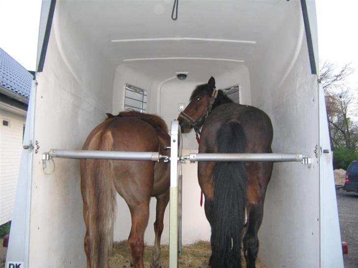 Traver charlie min skat <3 søde - charlie og donna var så stolt af charlie det skal lige siges at det var 2år siden han har været i trailer og så går han lige det vr fordi donna ikke vil op det tog 45min og få hende op og så gik charlie lige op og så vil donna også godt :D elsker di billede 15
