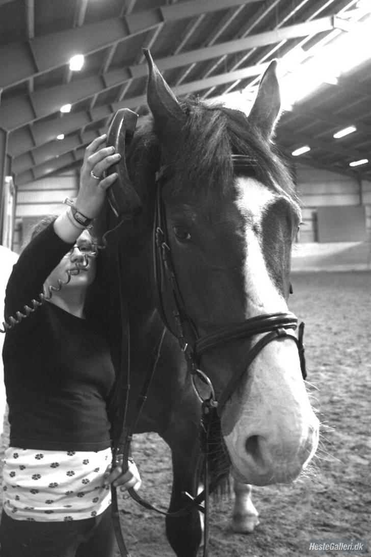 Anden særlig race Buzzio (udtales Bosjo) - ja? hvem er det?? - foto: Gulerod / louise pilgaard billede 13