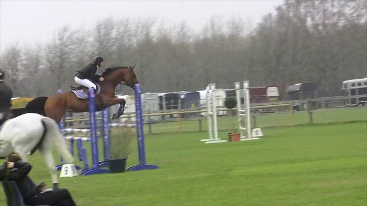 Hannoveraner - Gina Lady - 110cm. i Sverige 2010 billede 12