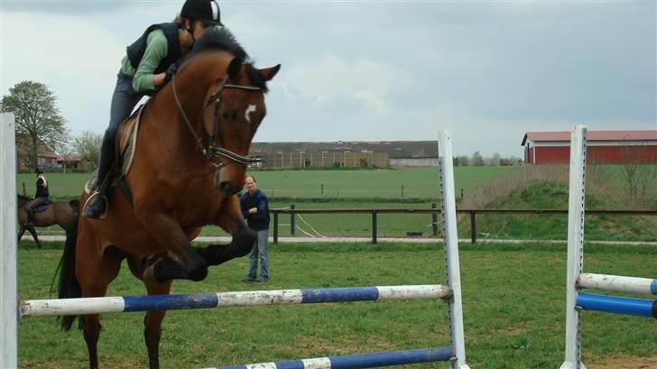 Holstener VodajoT.M 'Solgt* - fordi du er perfekt! foto: Sidsel<3 taaak billede 19