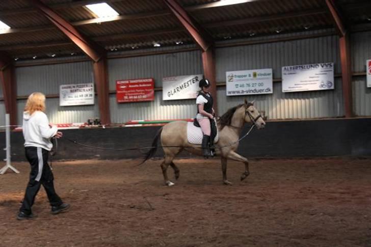 Anden særlig race Shikira R.I.P - foto: hans billede 15