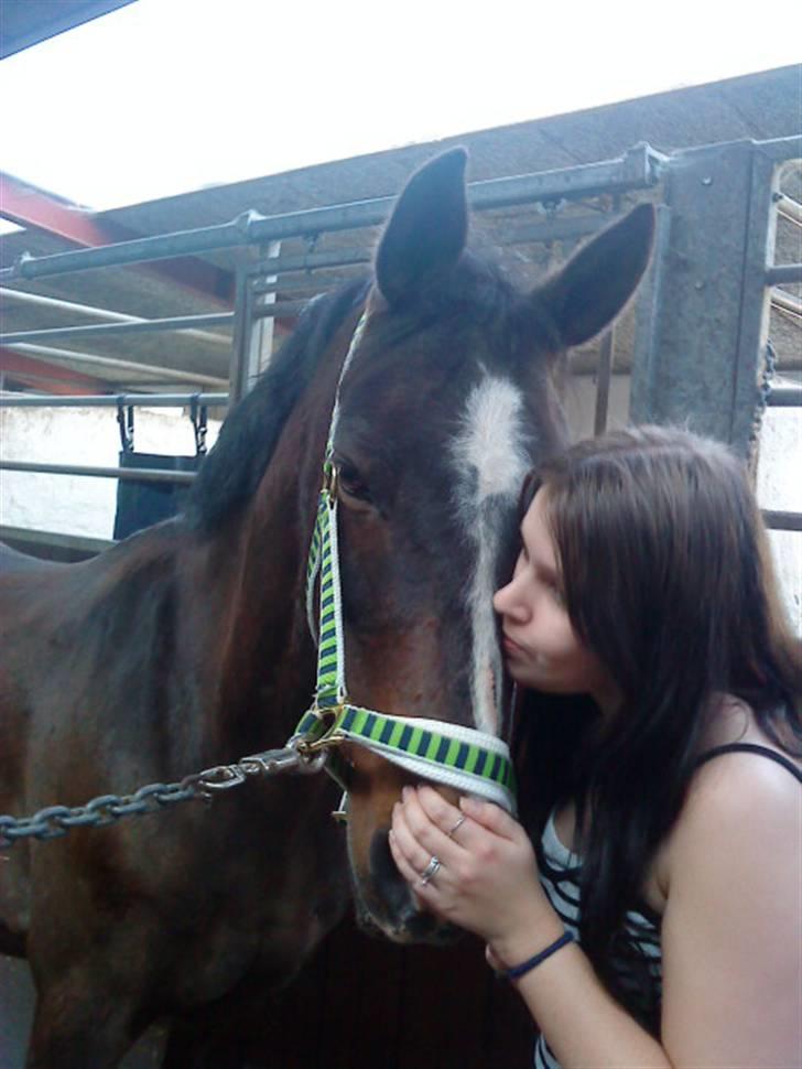 Anden særlig race Jonatan<3 (rideskole.pony) *himmelpony - du bare den bedste jeg kender<33 billede 6