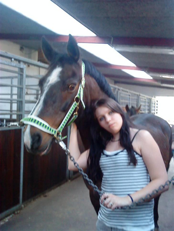 Anden særlig race Jonatan<3 (rideskole.pony) *himmelpony - my champion<3 billede 8