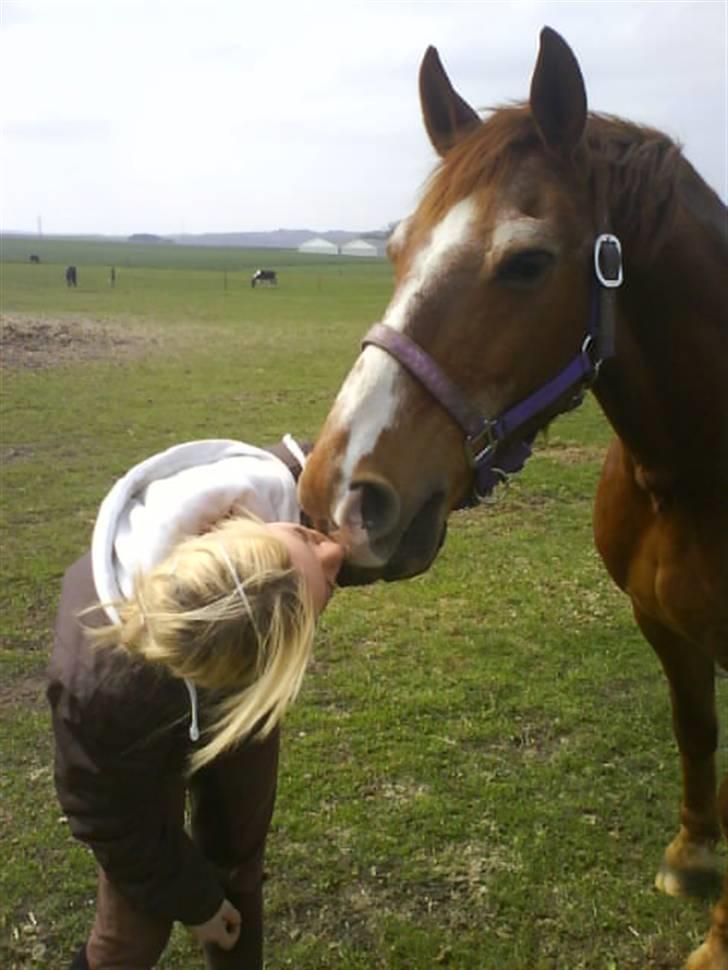 Anden særlig race Valentin - A lillte kiss!<33 billede 15