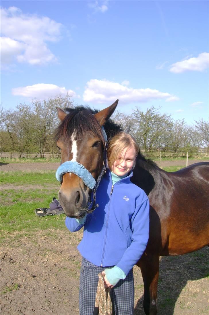 Anden særlig race Bruno Bjørn - Thea og Bruno på fold april 2009 billede 18