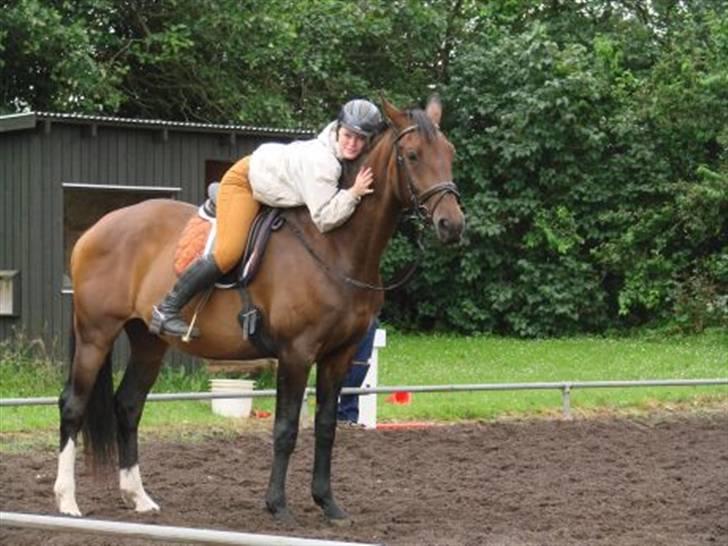 Dansk Varmblod Mathilde - Kiki og Mathilde på Ridelejr billede 8