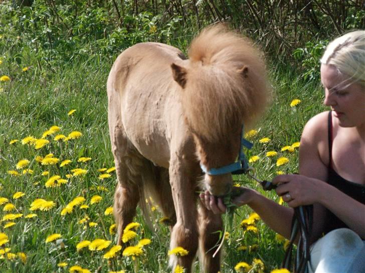 Miniature Birger billede 10