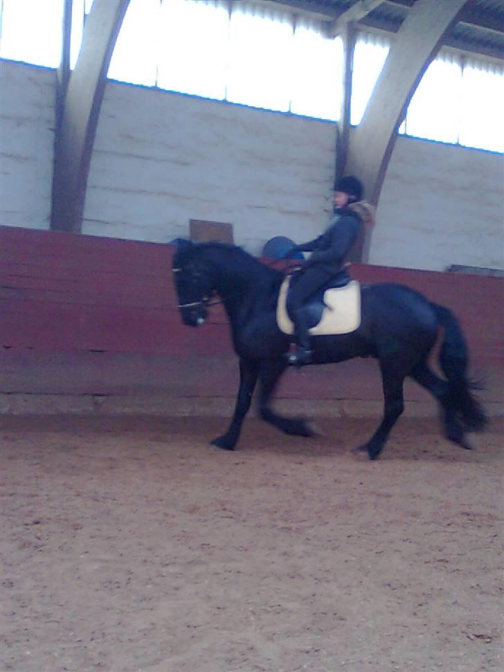 Frieser Rommert Jasper - <3 [foto: Line] billede 10