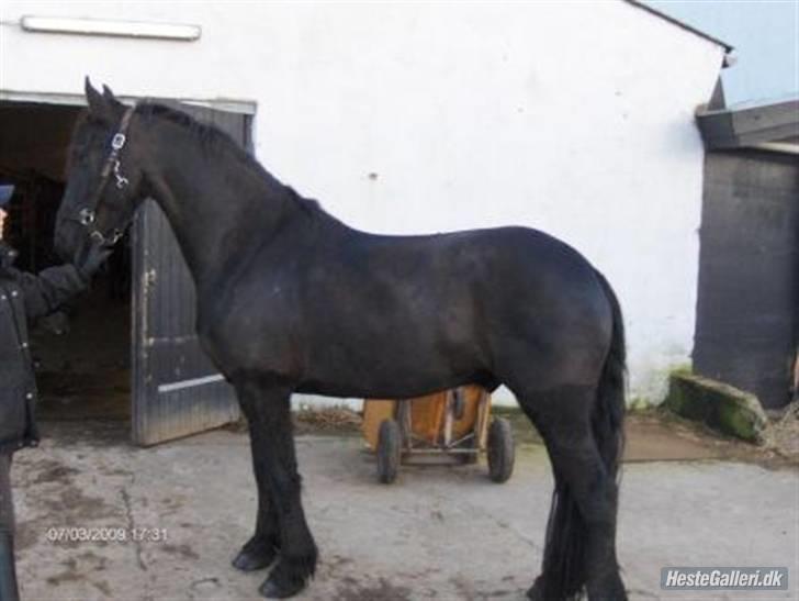 Frieser Rommert Jasper - min lille elskede skat:´D billede 14