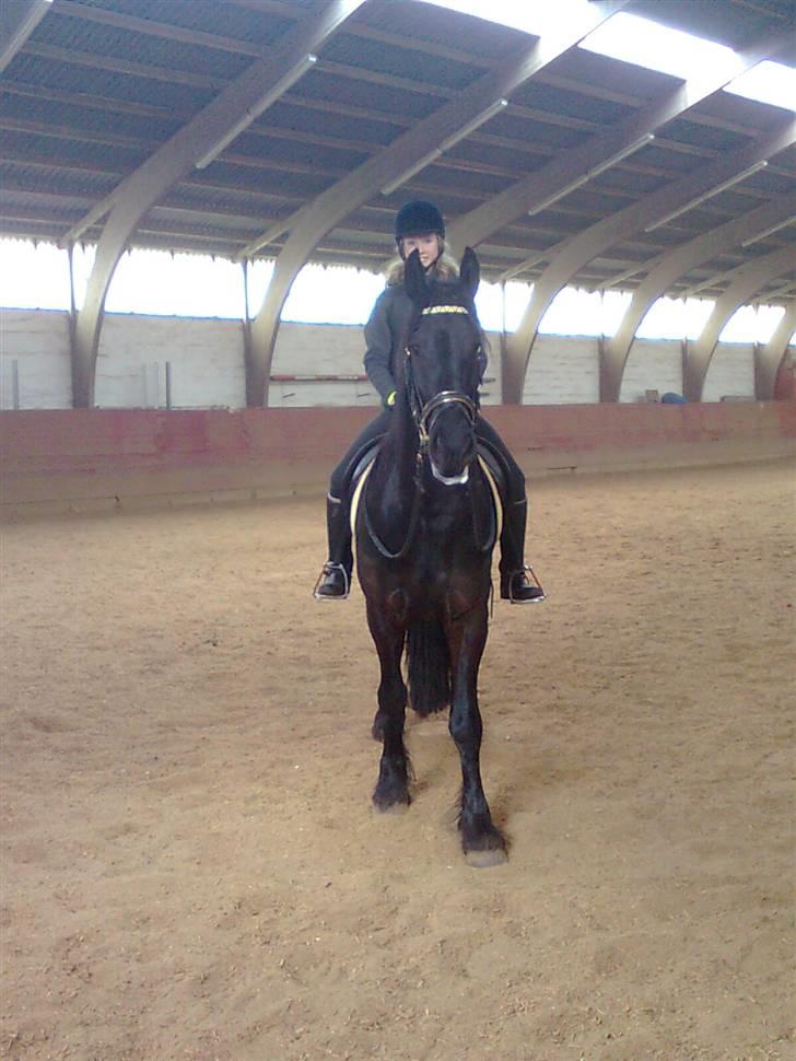 Frieser Rommert Jasper billede 15