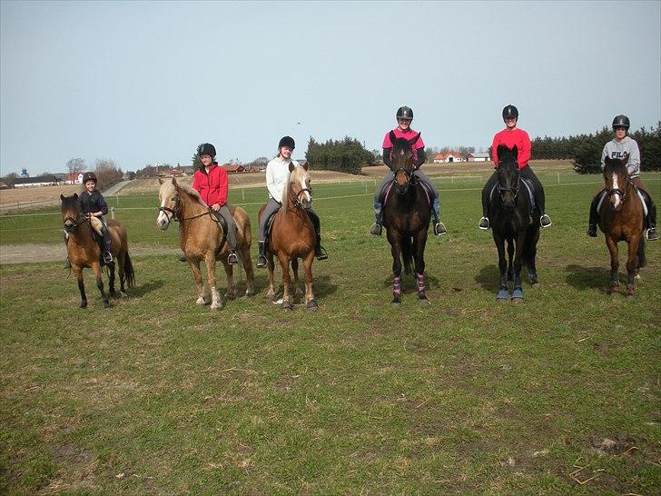 Oldenborg Flying Betty ROL 9674 - gruppebillede fra btr, betty er nr 2 fra højre billede 13
