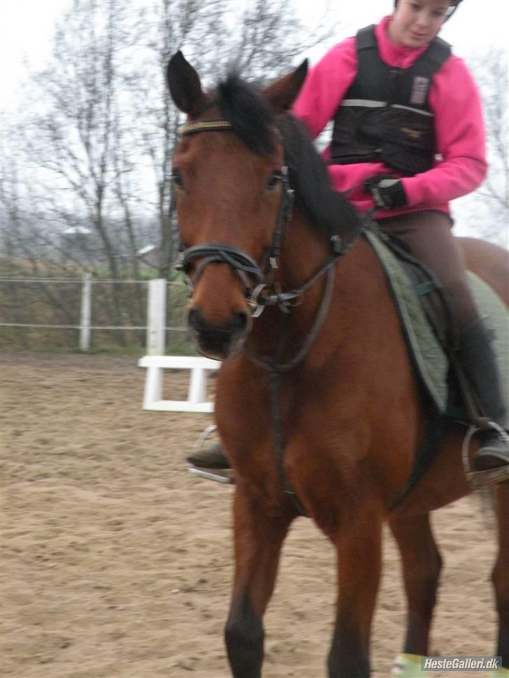 Anden særlig race Thor - wee, smukke futte <3 Foto: sara m :) billede 10