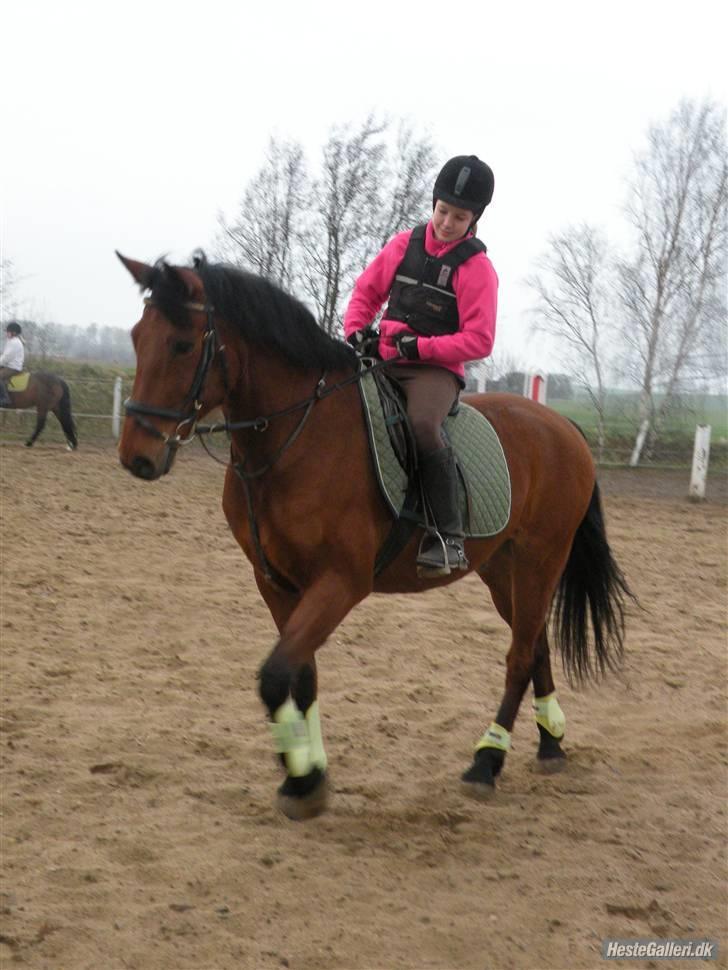 Anden særlig race Thor - han er da dygtig ;p <3 Foto: sara m :) billede 11