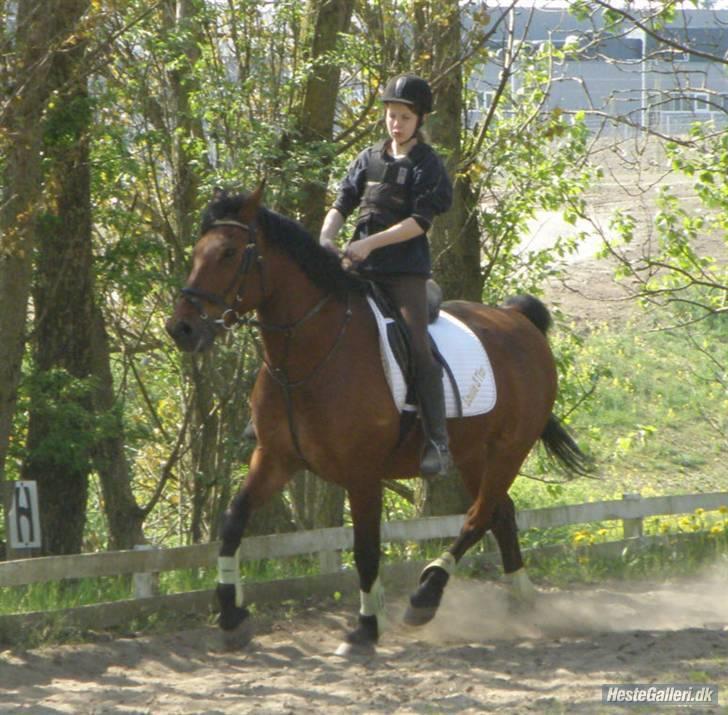 Anden særlig race Thor - søde futte ;p fra en hyggedag på Stübben :D Foto: simone :) billede 14