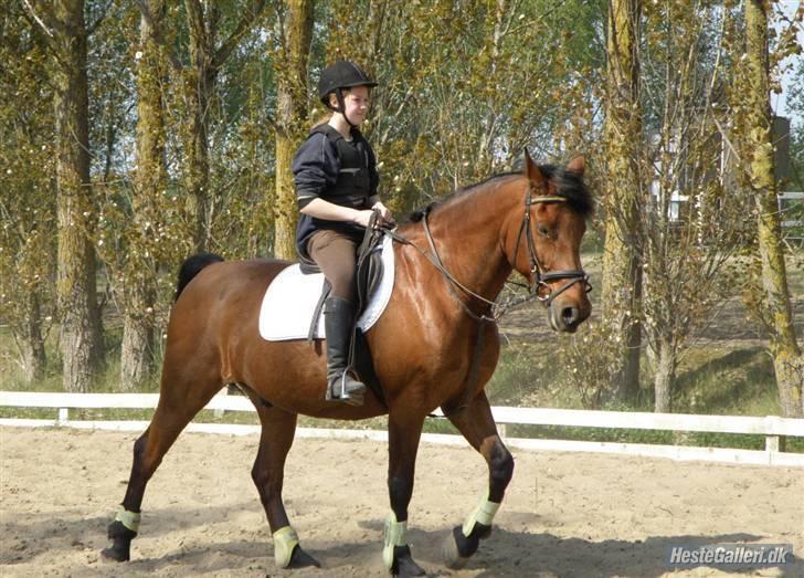 Anden særlig race Thor - jeg elsker dig, smuksak / tyksak xD <3 Foto: simone :) billede 15