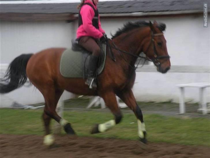 Anden særlig race Thor - weeeeeq <3Foto: sara m :) billede 16