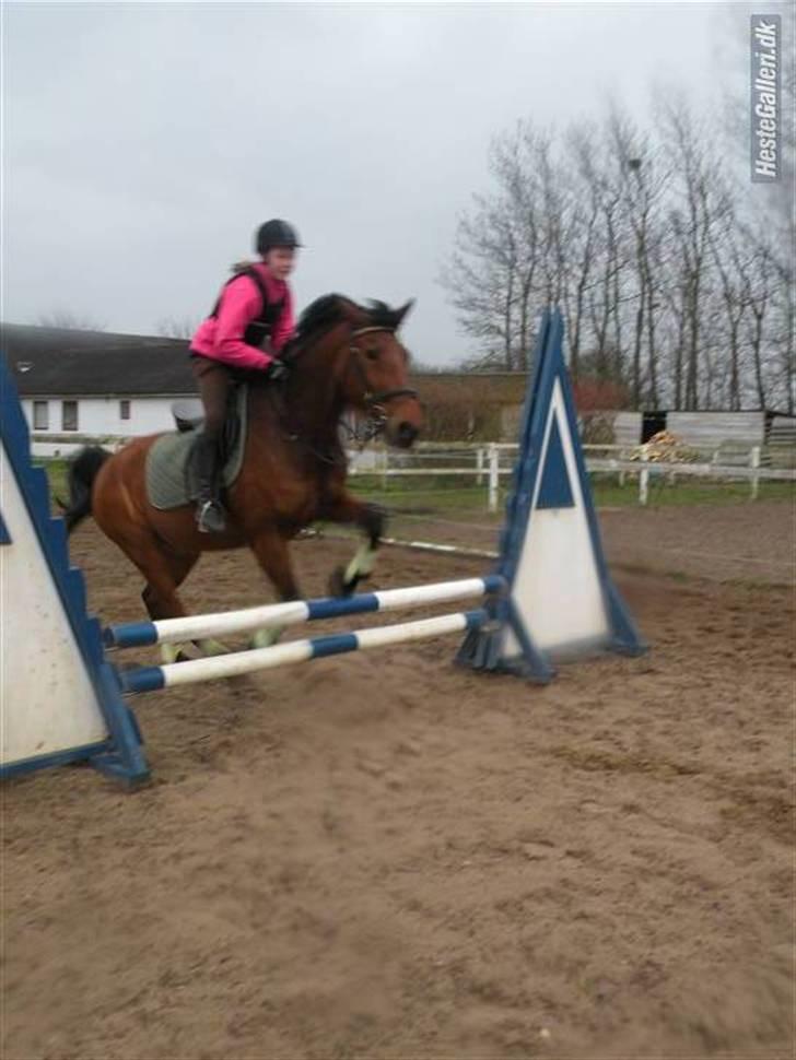 Anden særlig race Thor - og hopla igen ;p Foto: sara m :) billede 17