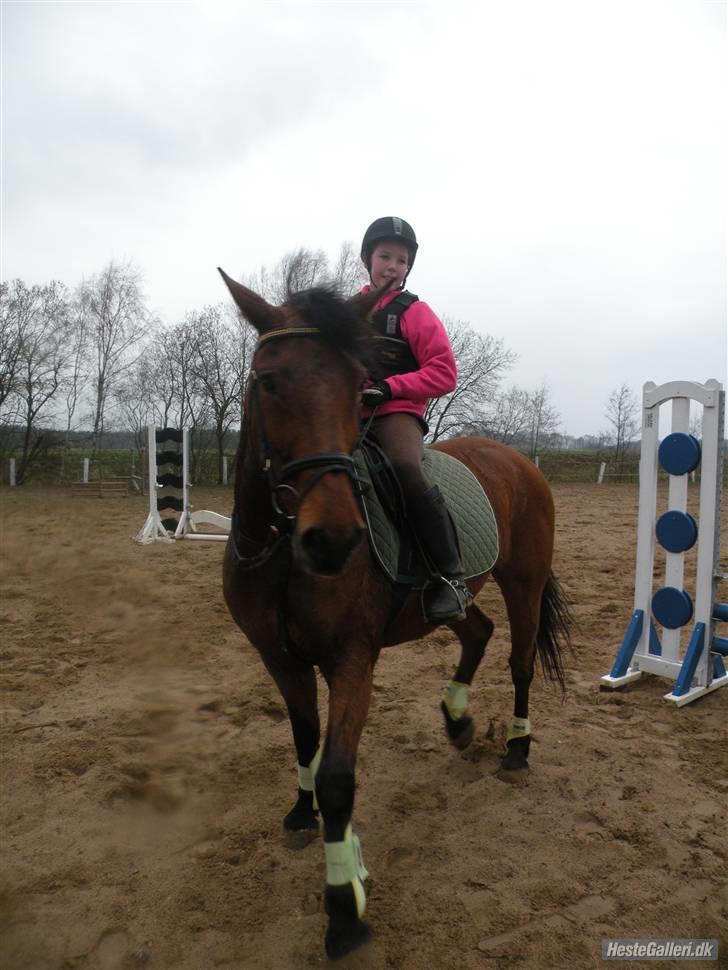 Anden særlig race Thor - endelig en slapper, tænker futte xD hehe <33 det er da os hårdt xD Foto: sara m :) billede 18