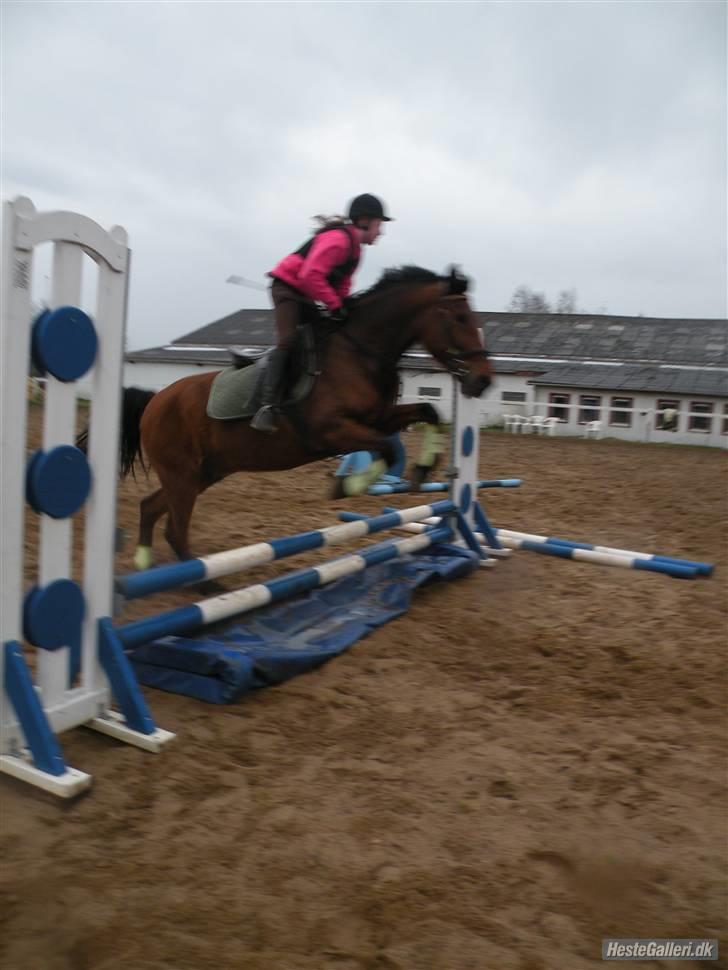 Anden særlig race Thor - you´re beautiful, it´s true <3 jep´ det er, og du er såå dygtig :D Foto:: sara m :) billede 19