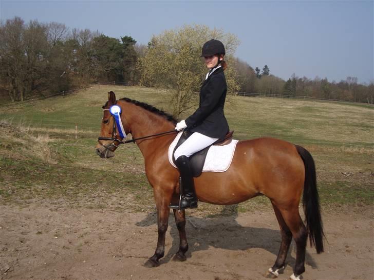 Sportsaraber (A) Angelique (savnet) - Mig og Angelique med en flot 2 plads til klubstævnet på vir ;D billede 15