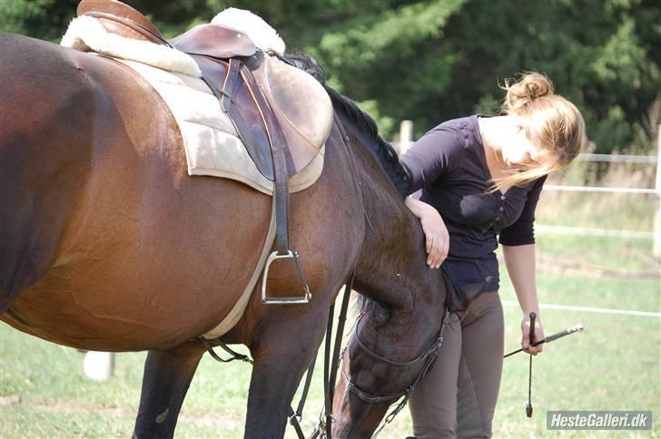 Anden særlig race Amazing Star - min livsblomst <3´ (LL)´ :-* billede 13