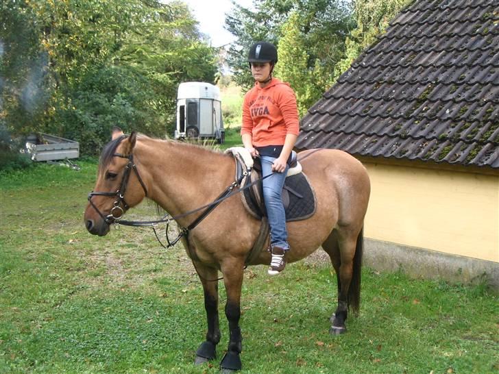 Anden særlig race Sensa - her er hun kun sadlet fint op for at få nogle sidste billeder af hende med mig på ryggen. Dagen før hun skulle væk fra os :´( billede 2