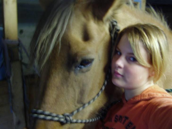 Anden særlig race Sensa billede 8