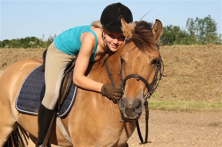 Anden særlig race Águst Kongerslev MITALT - SOLGT - Efter dressurtræning sommeren 2009 - hvor jeg dog savner dengang man kunne ride udenfor. billede 8