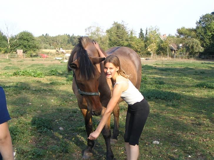 Anden særlig race Sensa billede 11