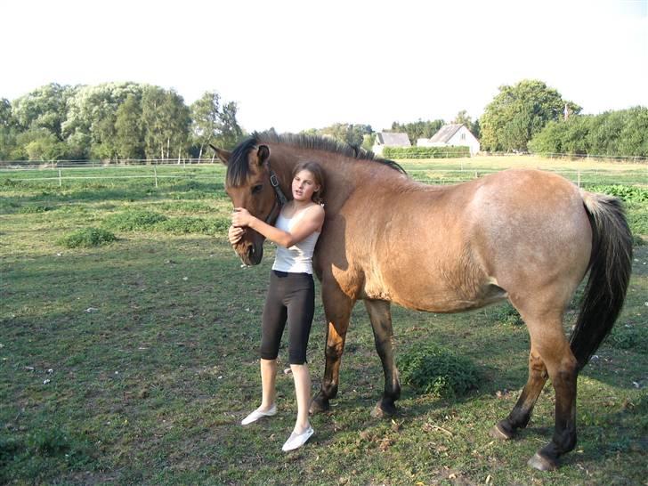 Anden særlig race Sensa billede 12