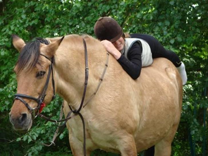 Anden særlig race Sensa billede 15