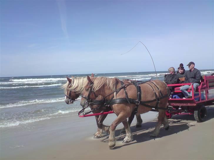 Jyde Lasse - Tur ved vandet billede 17