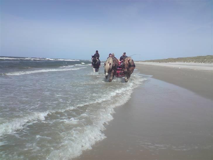 Jyde Lasse - NU er vi i vandet billede 18