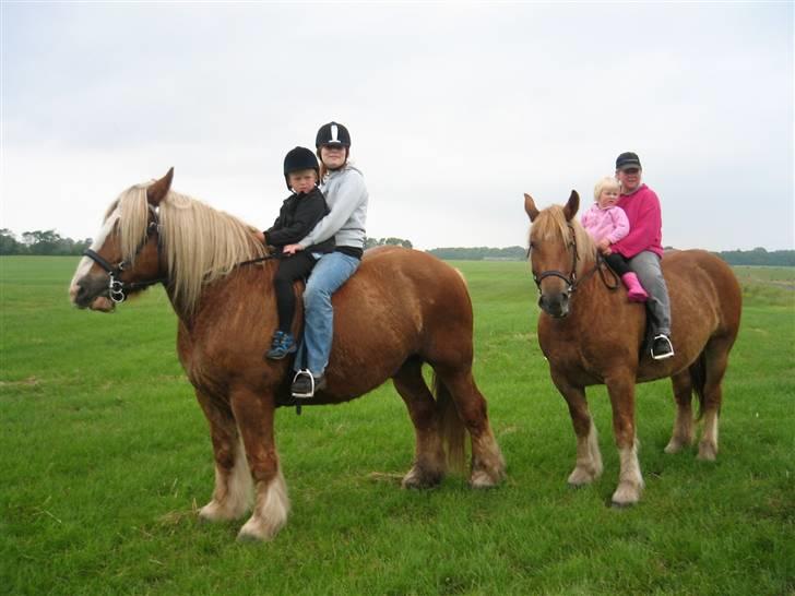 Jyde Lasse - Giver meget gerne rideture billede 19