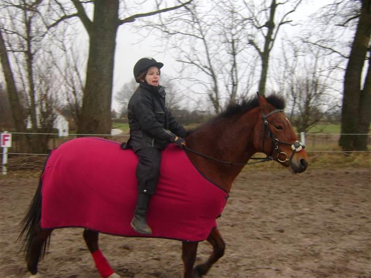 New Forest Bonnie  - foto signe.. billede 10